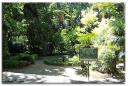 las-plantas.jpg