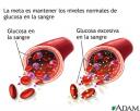 la-sangre-2.jpg