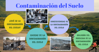 Factores contaminantes del suelo-1