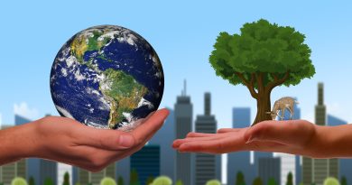 La sustentabilidad ambiental