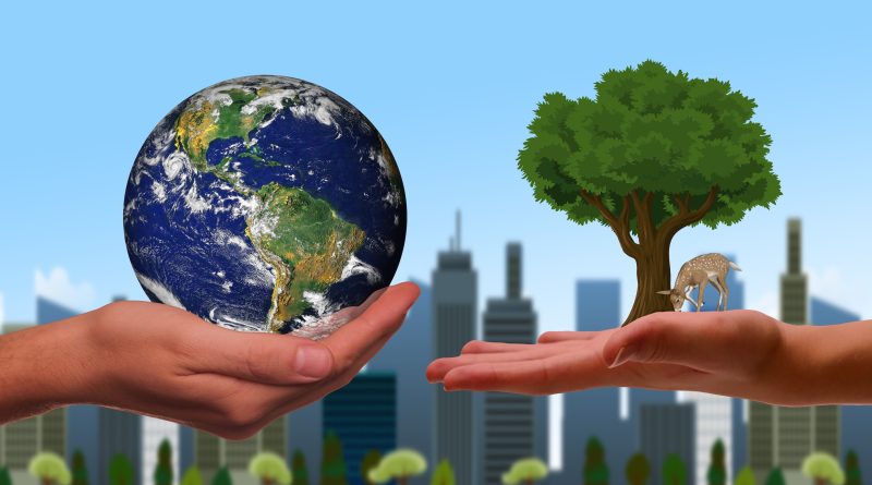 La sustentabilidad ambiental La sustentabilidad ambiental