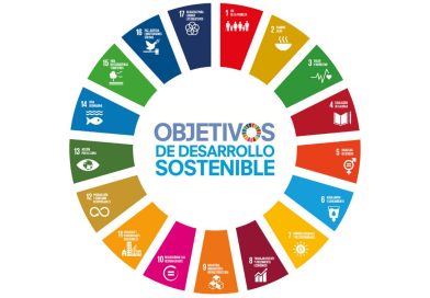 Los objetivos del desarrollo sostenible