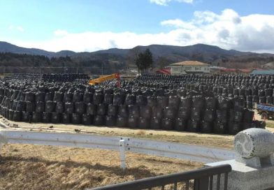 Causas del impacto ambiental