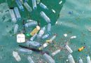 Contaminación del agua