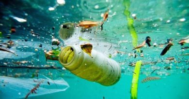 Soluciones a la contaminación del agua
