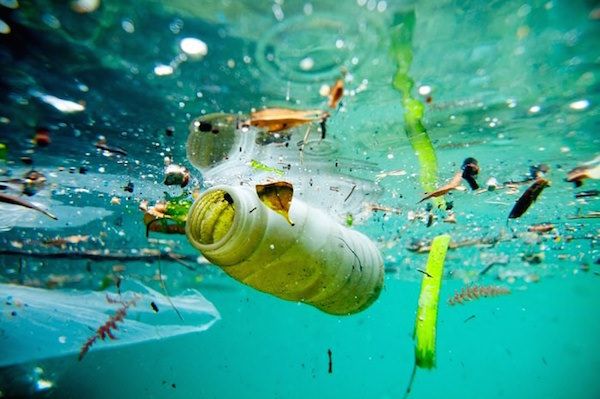 Consecuencias de la contaminación del agua