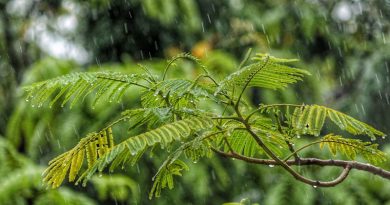 Lluvia